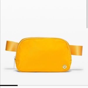 Everywhere Belt Bag 1L